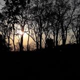 Sonnenuntergang Heredia - Aurinko puiden välillä