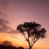 Sonnenuntergang Heredia - ብርቱካንማ